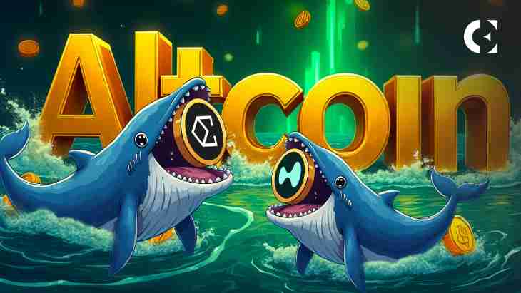 鲸鱼在大型RWA发射之前悄悄地积聚ENA