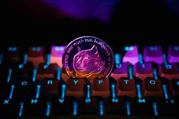 Dogecoin（Doge）刚进入抛物线曲线设置的第四阶段