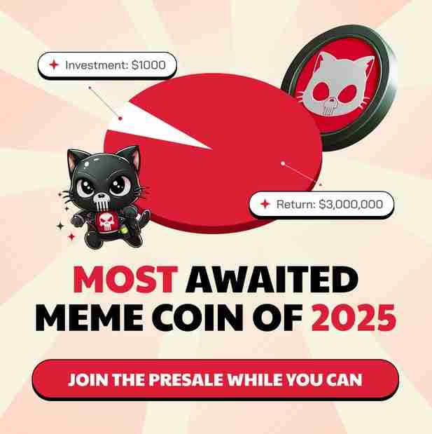 一种新型模因硬币的兴起