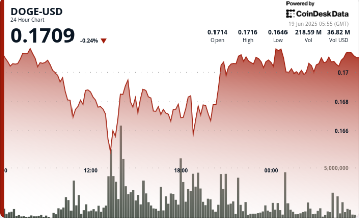 Doge Price从超售领土弹起：这是真正的逆转还是看跌的陷阱？