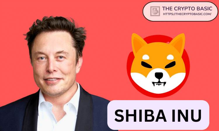 Shiba Inu，Elon Musk和Net Worth：Meme Coin的Moonshot？