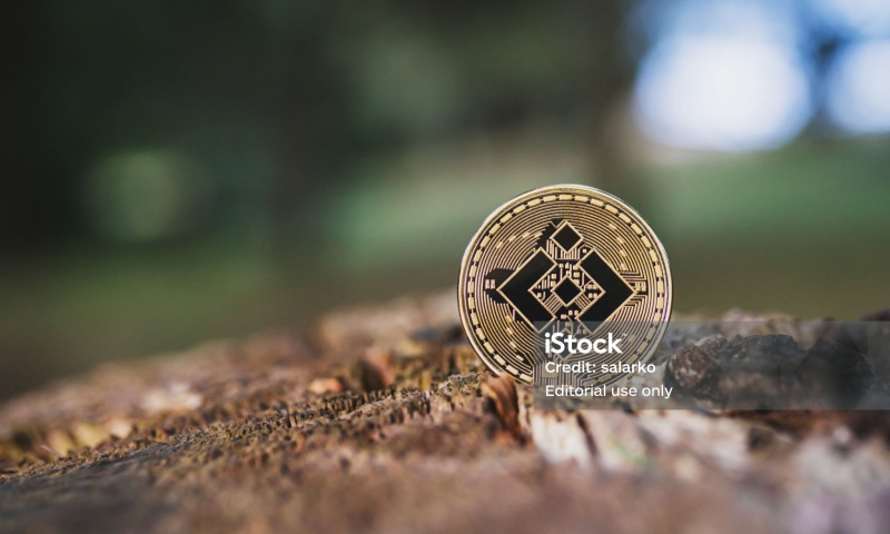 2025年哪些币种最具投资潜力？2025年最佳投资币推荐