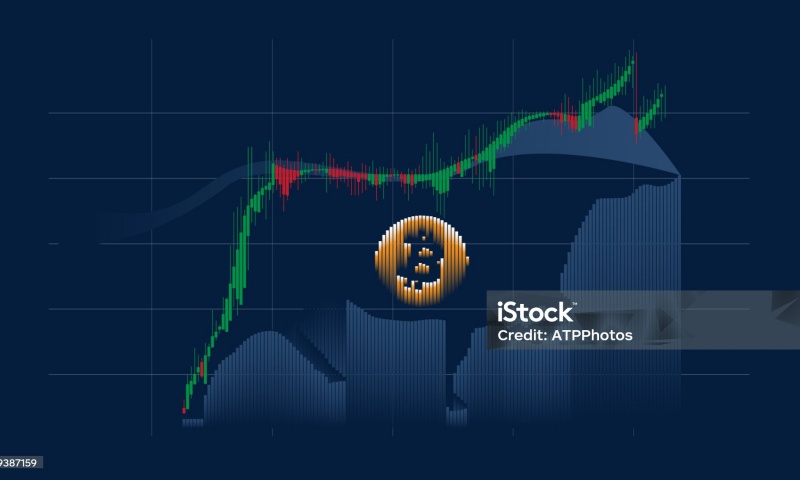 UTNP币是什么？全面了解UTNP币的特性与前景
