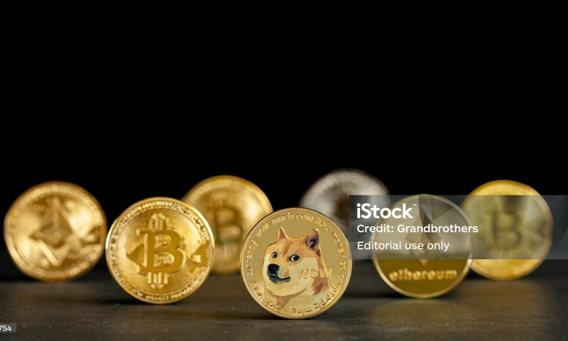 什么是FLOW币？FLOW币的未来价值与市场潜力