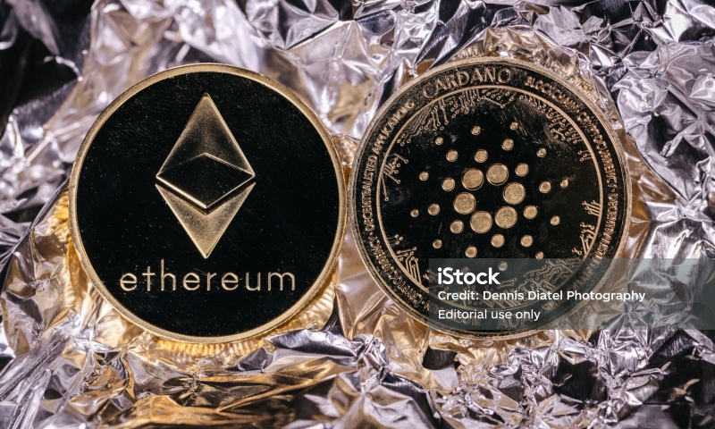 CATE币的总量有多少？探讨CATE币的发行总量与流通情况