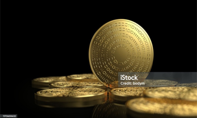 PMA币值不值得买？PMA币2025年投资建议与风险预警