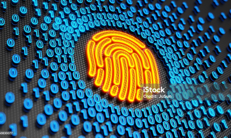 SYS币的前景如何？SYS币的市场分析和未来发展